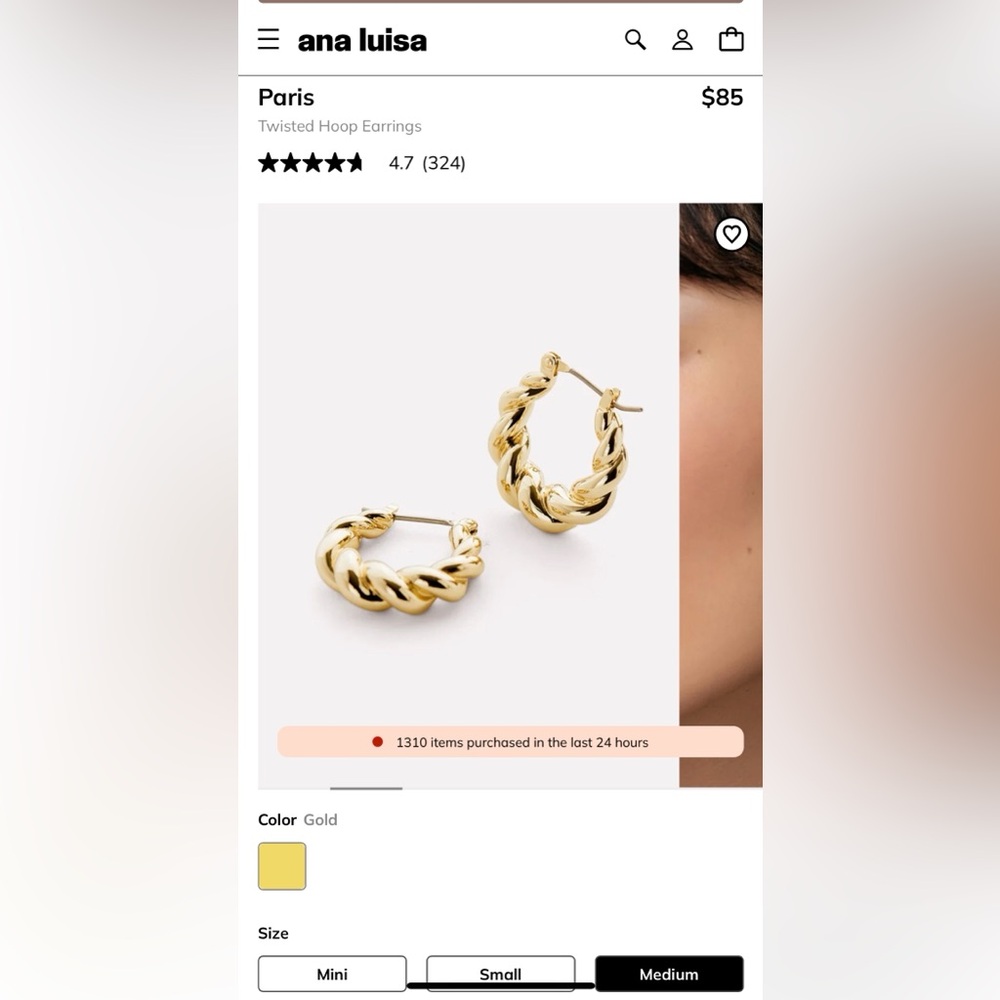 Ana Luisa Paris Twisted Hoop Earrings